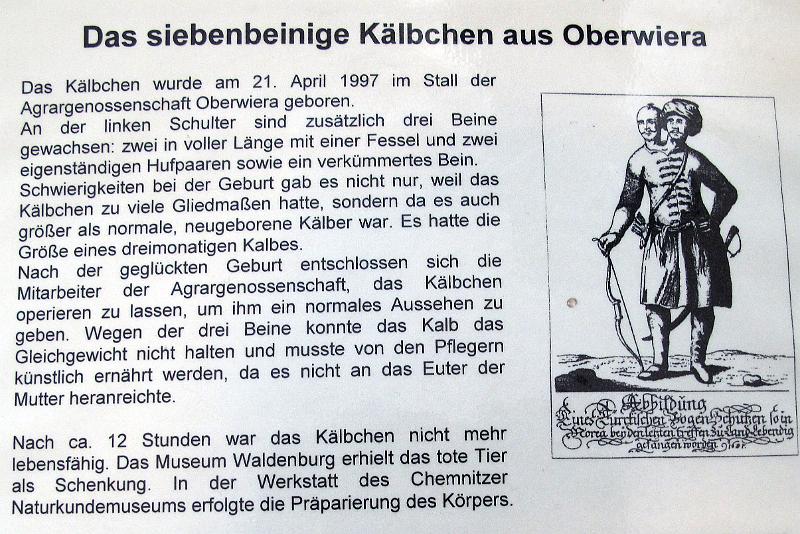 Waldenburg (69).JPG